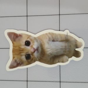 CAT Sticker